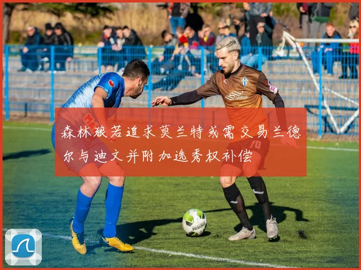 森林狼若追求莫兰特或需交易兰德尔与迪文并附加选秀权补偿