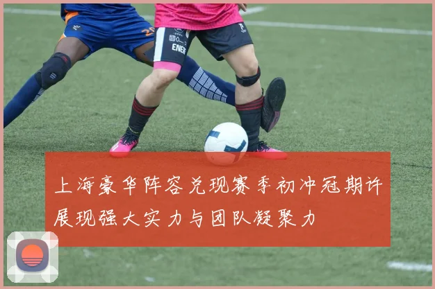 上海豪华阵容兑现赛季初冲冠期许展现强大实力与团队凝聚力