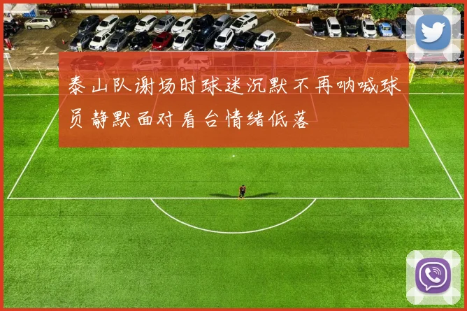 泰山队谢场时球迷沉默不再呐喊球员静默面对看台情绪低落